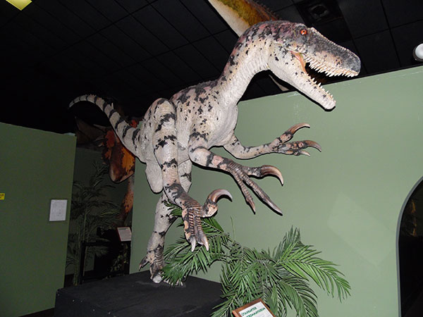 Branson Dinosaur Museum - Branson Missouri 65616