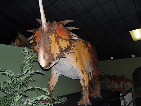 Branson Dinosaur Museum - Branson Missouri 65616